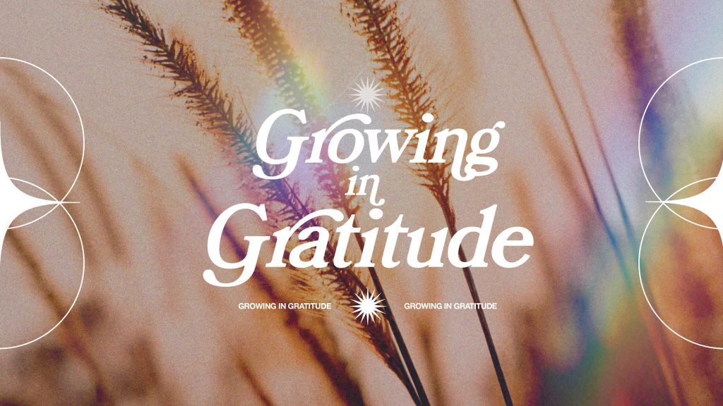Growing in Gratitude