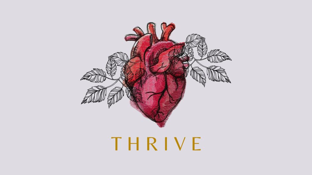 Thrive Week 3 | The Cynic’s Destruction